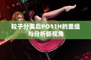 粒子分离后PO11H的重组与分析新视角