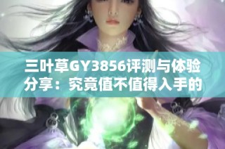 三叶草GY3856评测与体验分享：究竟值不值得入手的全面分析