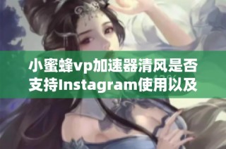 小蜜蜂vp加速器清风是否支持Instagram使用以及如何为TikTok加速