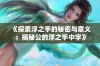 《探索浮之手的秘密与意义：揭秘公的浮之手中字》