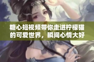 糖心短视频带你走进柠檬猫的可爱世界，瞬间心情大好