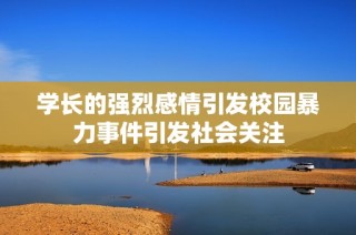 学长的强烈感情引发校园暴力事件引发社会关注