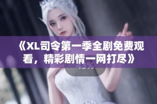 《XL司令第一季全剧免费观看，精彩剧情一网打尽》