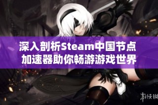 深入剖析Steam中国节点 加速器助你畅游游戏世界