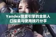 Yandex搜索引擎的全新入口探索与使用技巧分享