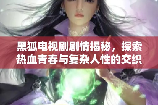 黑狐电视剧剧情揭秘，探索热血青春与复杂人性的交织