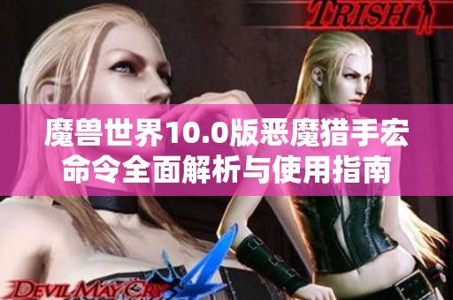 魔兽世界10.0版恶魔猎手宏命令全面解析与使用指南