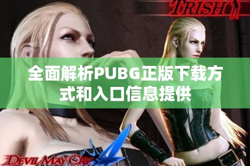 全面解析PUBG正版下载方式和入口信息提供