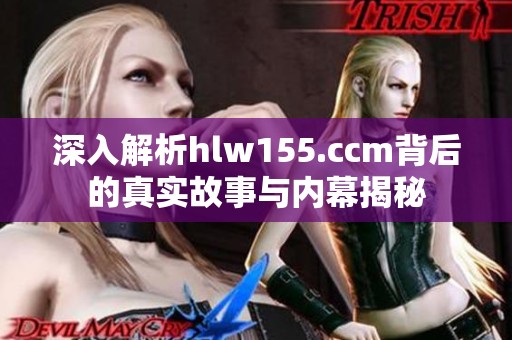 深入解析hlw155.ccm背后的真实故事与内幕揭秘