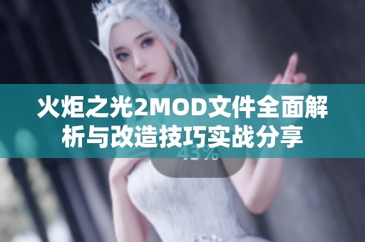 火炬之光2MOD文件全面解析与改造技巧实战分享