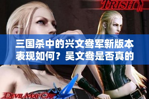 三国杀中的兴文鸯军新版本表现如何？吴文鸯是否真的更强？深度分析比较！