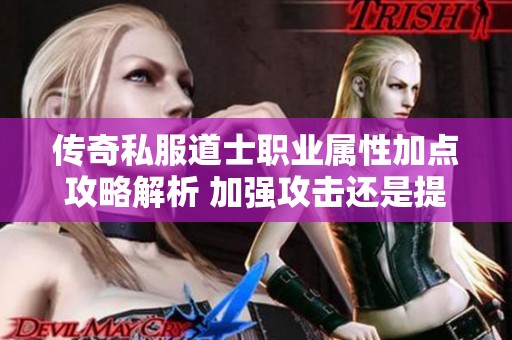 传奇私服道士职业属性加点攻略解析 加强攻击还是提升道术效果更佳