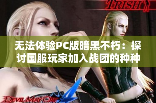 无法体验PC版暗黑不朽：探讨国服玩家加入战团的种种障碍与困境