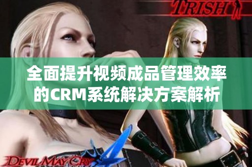 全面提升视频成品管理效率的CRM系统解决方案解析