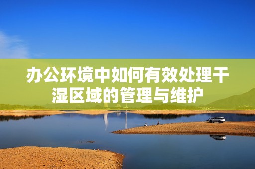 办公环境中如何有效处理干湿区域的管理与维护