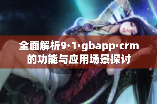 全面解析9·1·gbapp·crm的功能与应用场景探讨