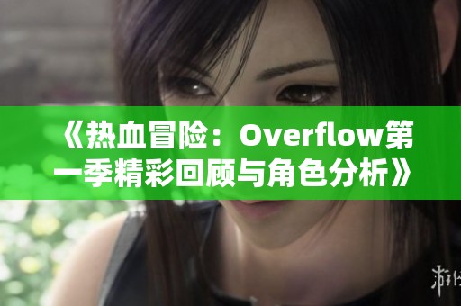 《热血冒险：Overflow第一季精彩回顾与角色分析》