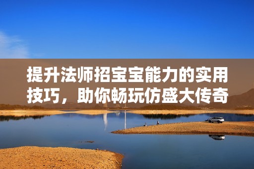 提升法师招宝宝能力的实用技巧，助你畅玩仿盛大传奇游戏