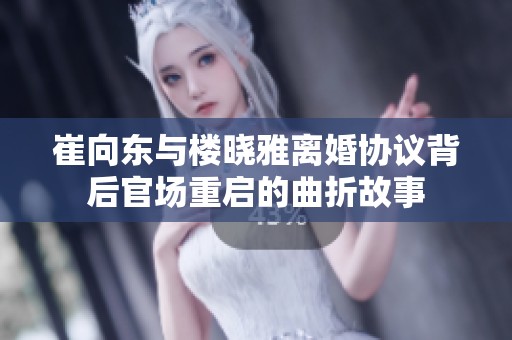 崔向东与楼晓雅离婚协议背后官场重启的曲折故事