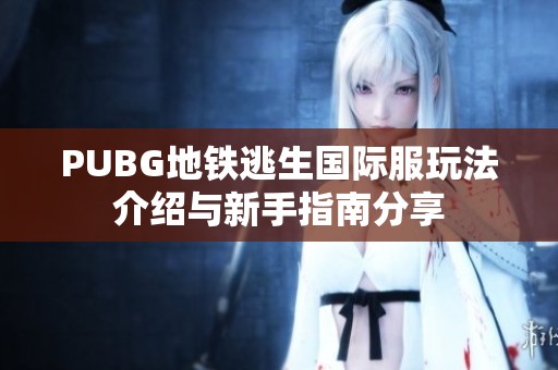 PUBG地铁逃生国际服玩法介绍与新手指南分享