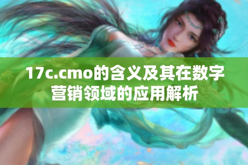 17c.cmo的含义及其在数字营销领域的应用解析