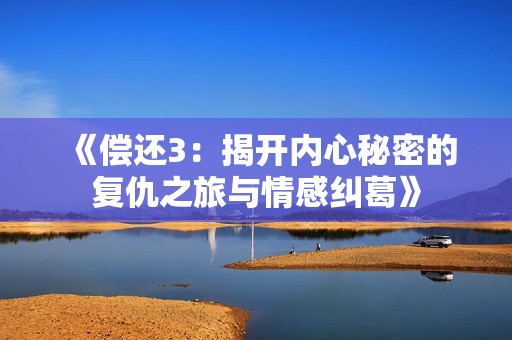 《偿还3：揭开内心秘密的复仇之旅与情感纠葛》